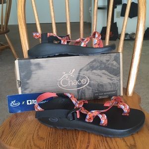 Mens Chaco Sandals National Park Edition